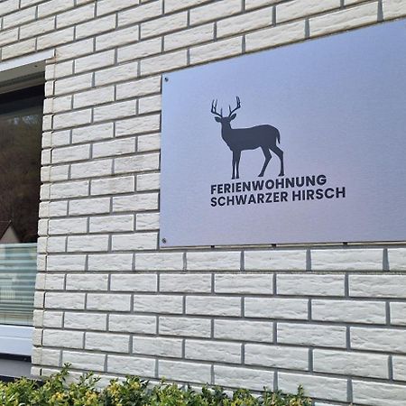 Ferienwohnung Schwarzer Hirsch Wieda Екстериор снимка